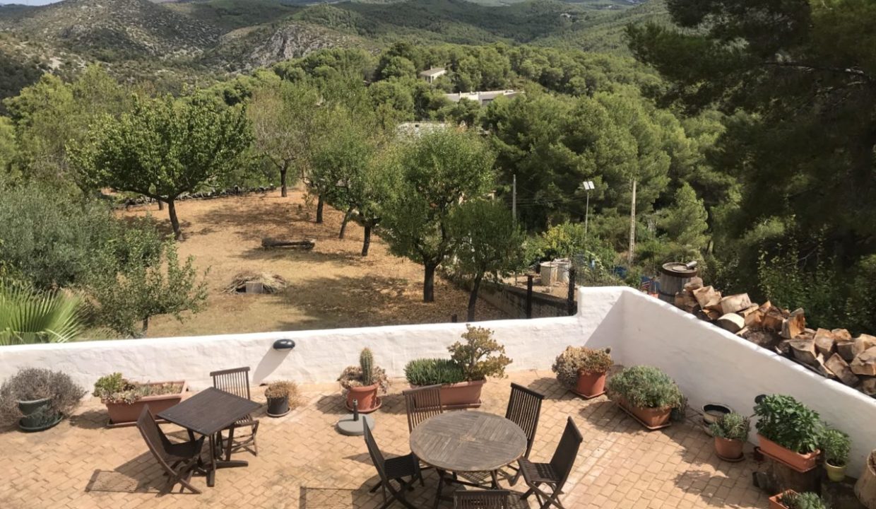 Casa verde 17