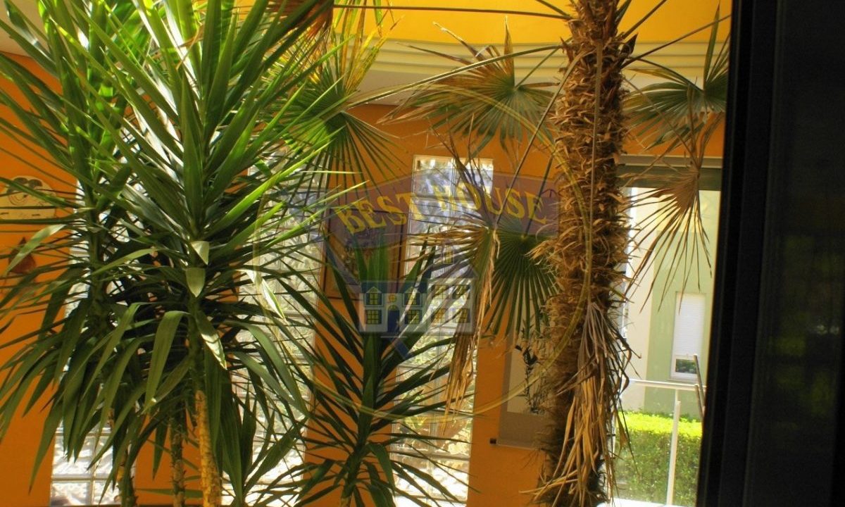 foto12