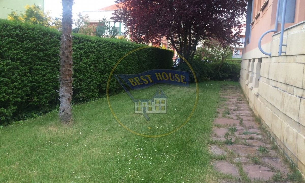 foto29