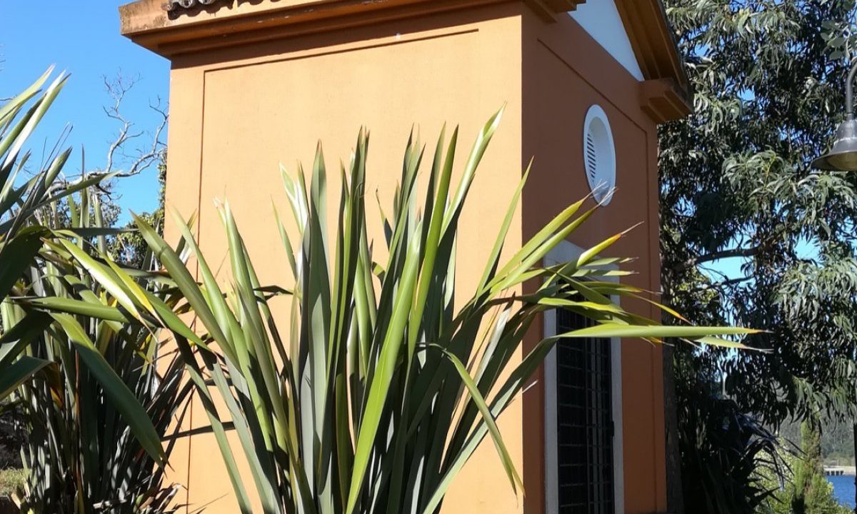 foto6