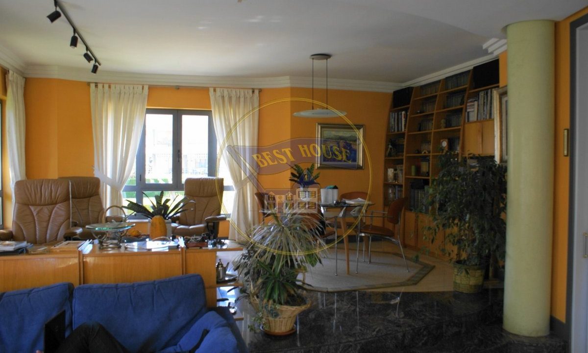 foto7
