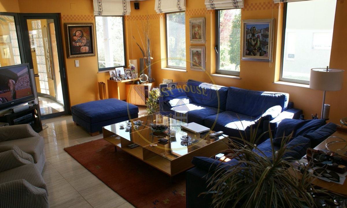 foto8