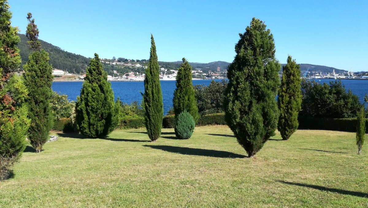 foto15