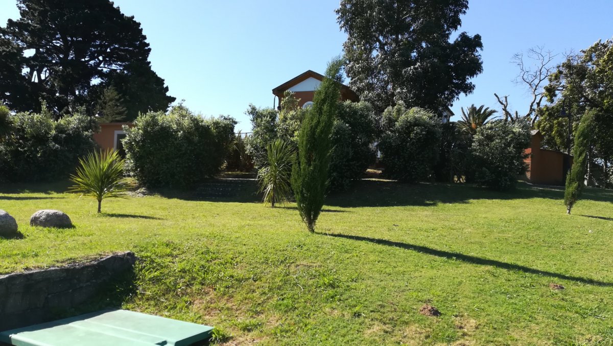 foto16