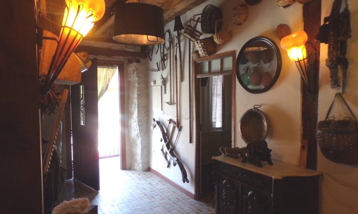 foto7