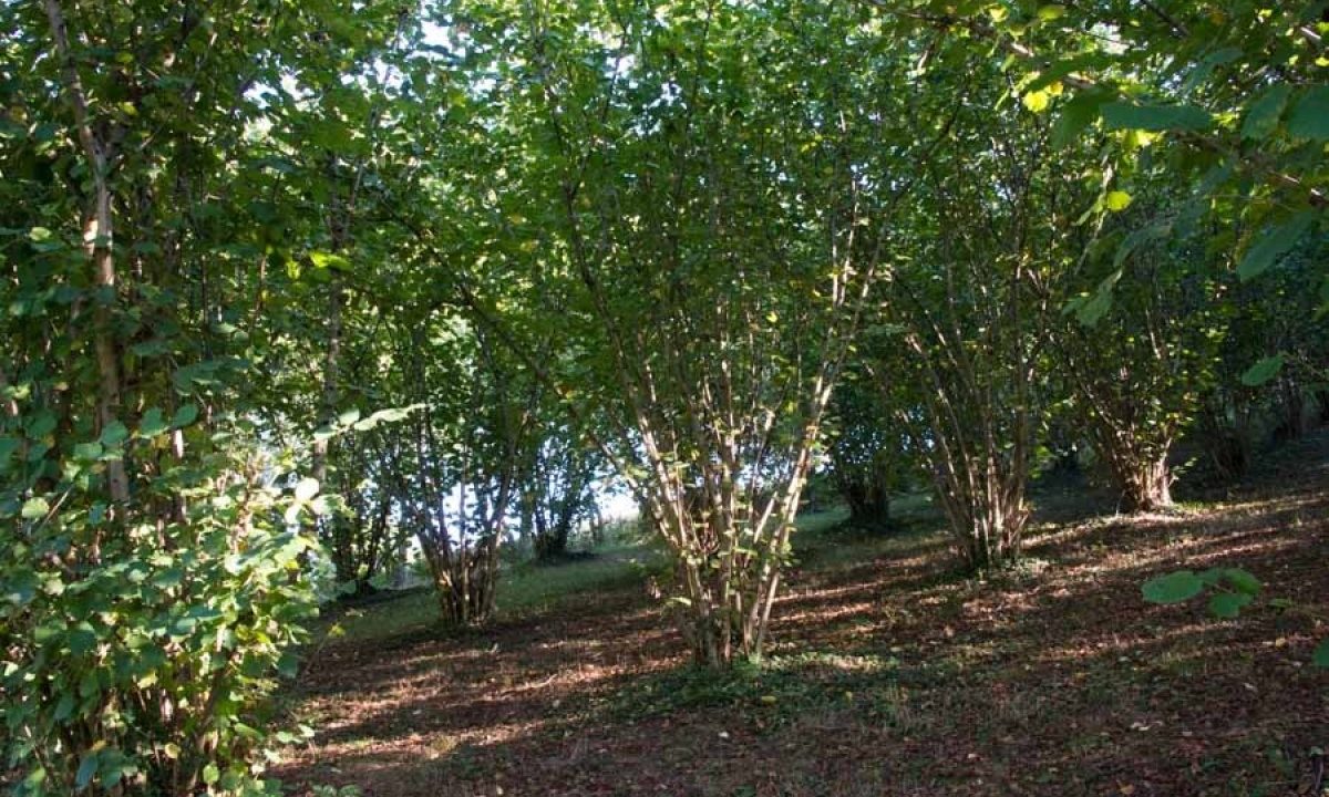 [www.best-house.es][174]4-18