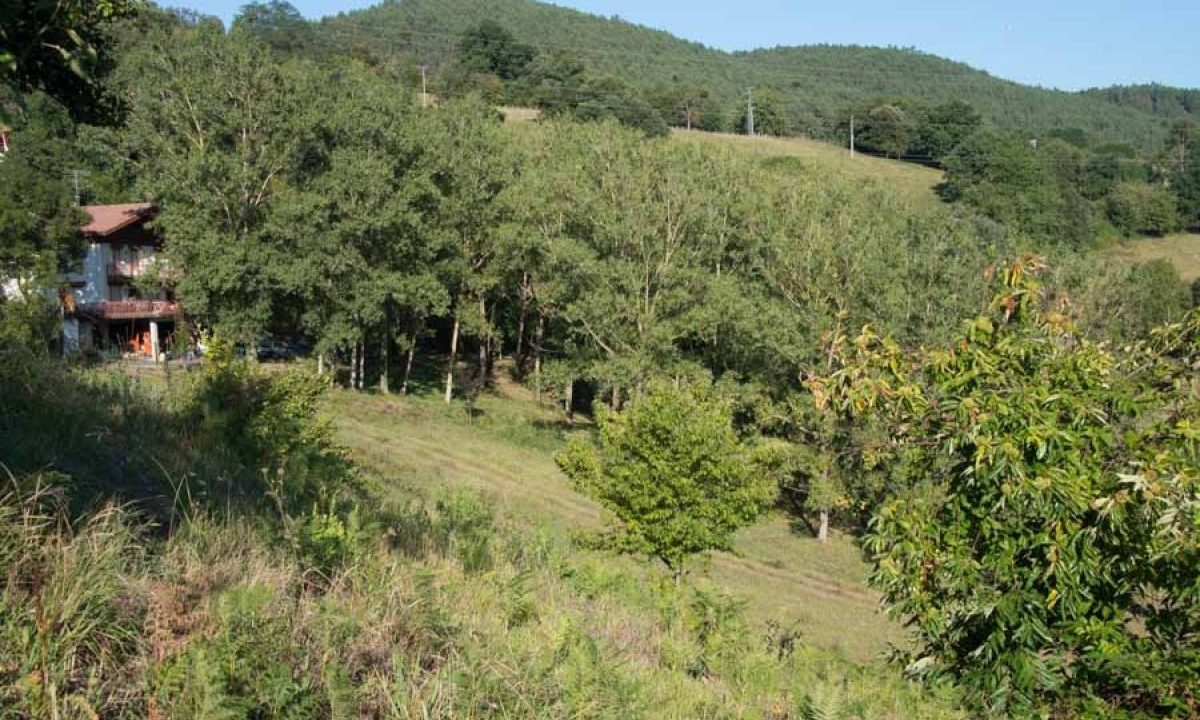 [www.best-house.es][178]4-22