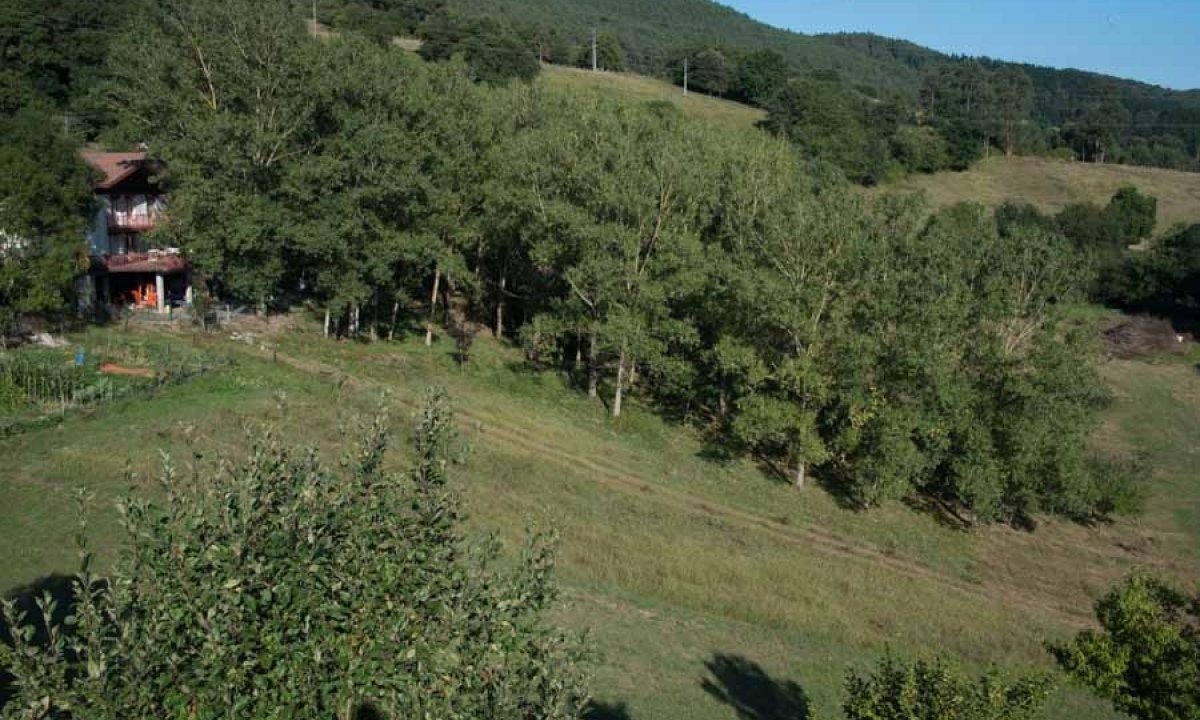 [www.best-house.es][240]4-13