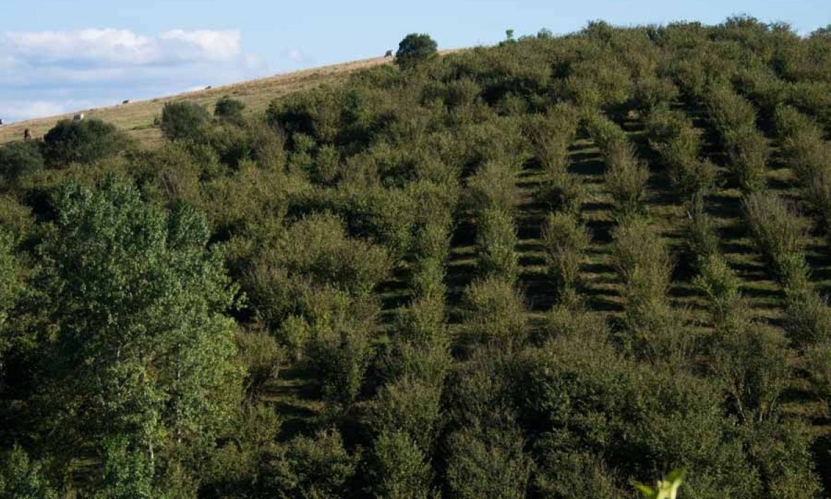 [www.best-house.es][259]4-19