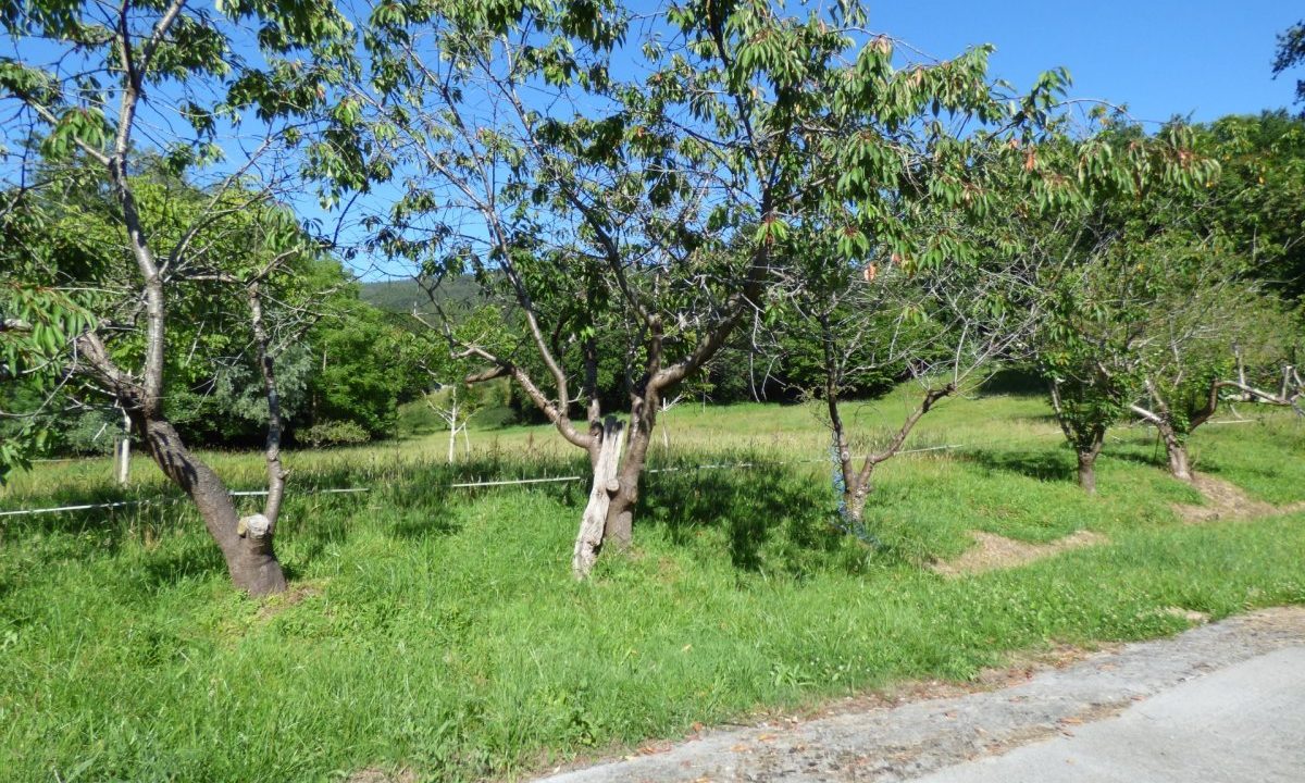 [www.best-house.es][262]16-64