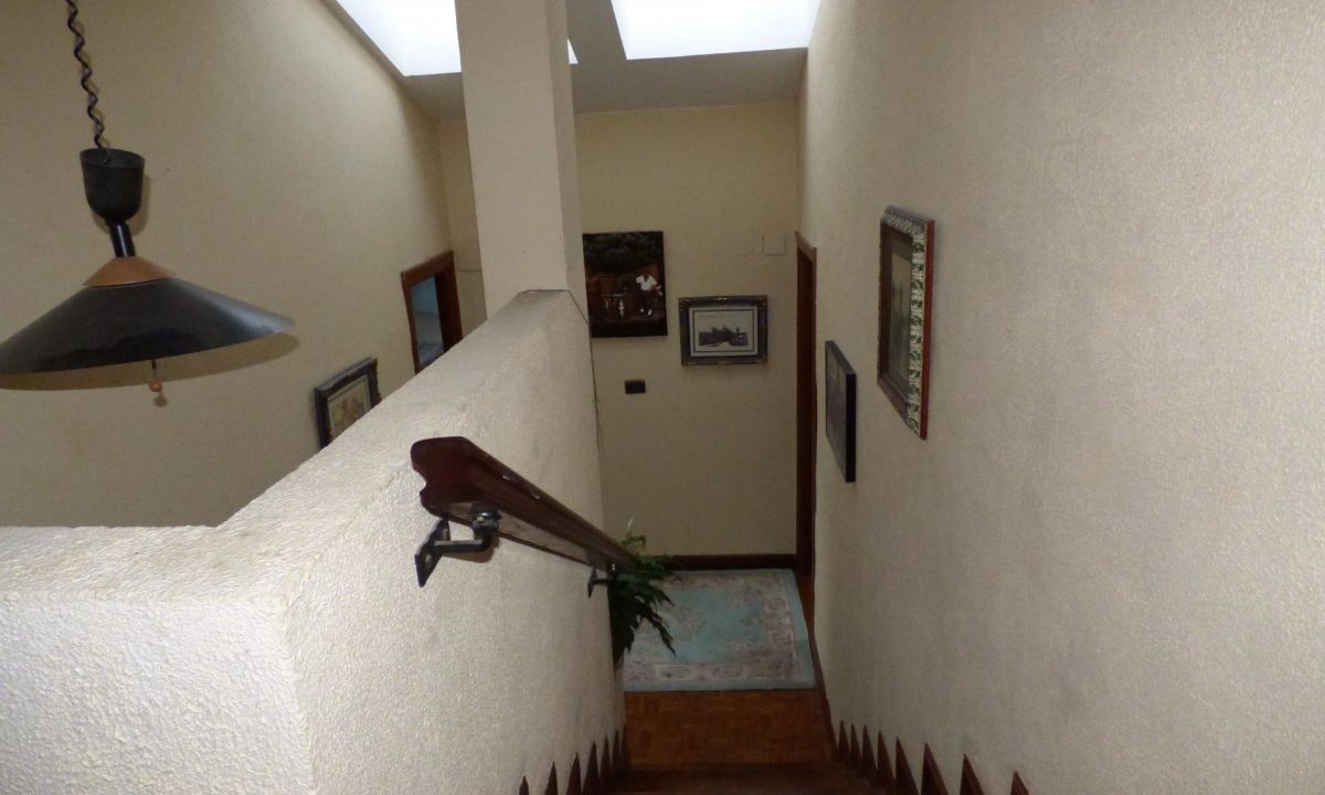 [www.best-house.es][300]8-16