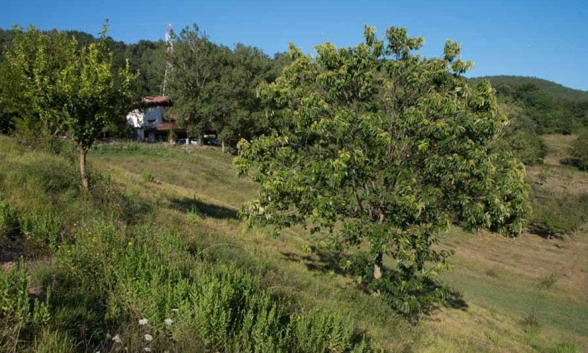 [www.best-house.es][430]4-14