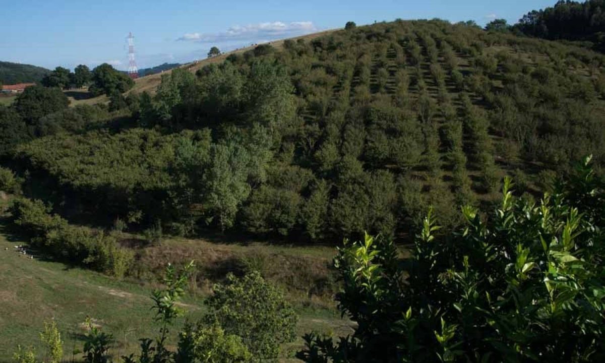 [www.best-house.es][512]4-16