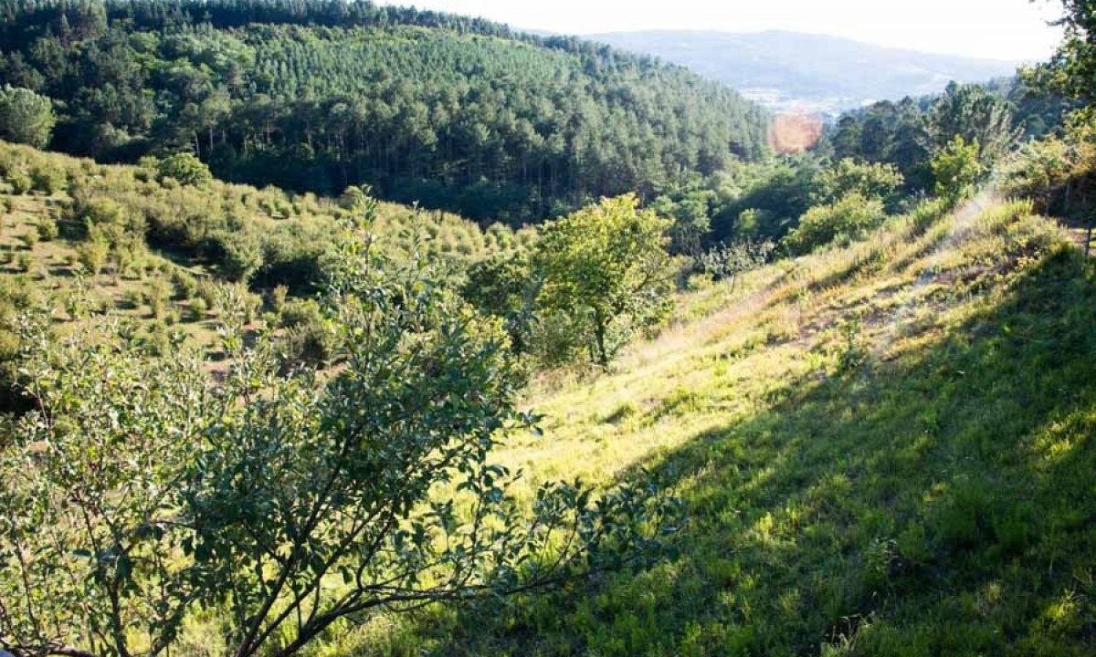 [www.best-house.es][662]4-17