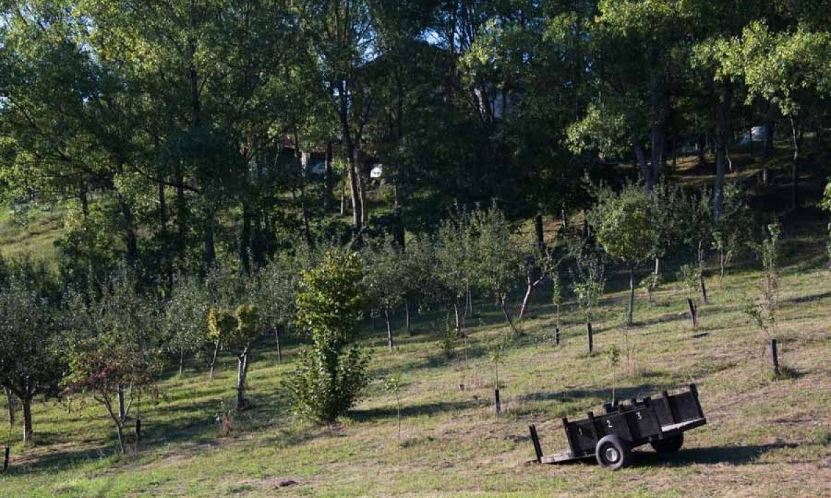 [www.best-house.es][805]4-21