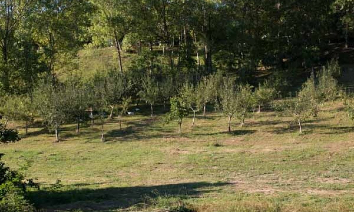 [www.best-house.es][81]4-23